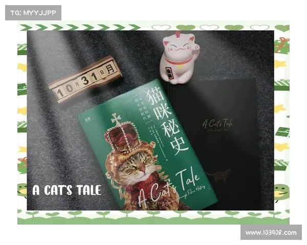猫咪的手游_猫咪手游无限火力怎么出装:喵星人奇幻冒险之旅:猫咪传奇 猫咪的手游_猫咪手游无限火力怎么出装:喵星人奇幻冒险之旅:猫咪传奇