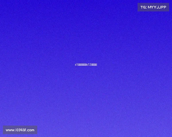 s1电子竞技电竞s12什么意思